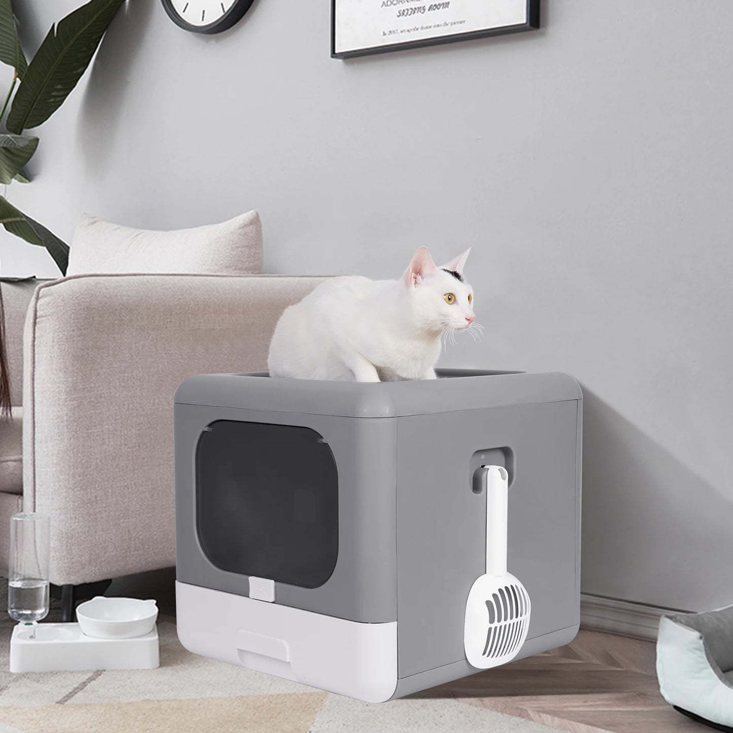 Bingopaw Cat Litter Box with Lid, Enclosed Potty, Large Top Entry Anti-Splashing Toilet, Easy to Clean Including Litter Scoop