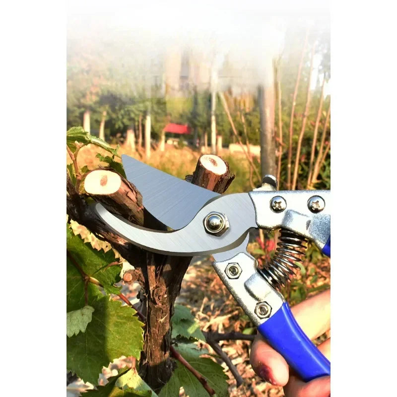 SK5 Pruning Scissors Grafting Tool Secateurs Stainless Steel