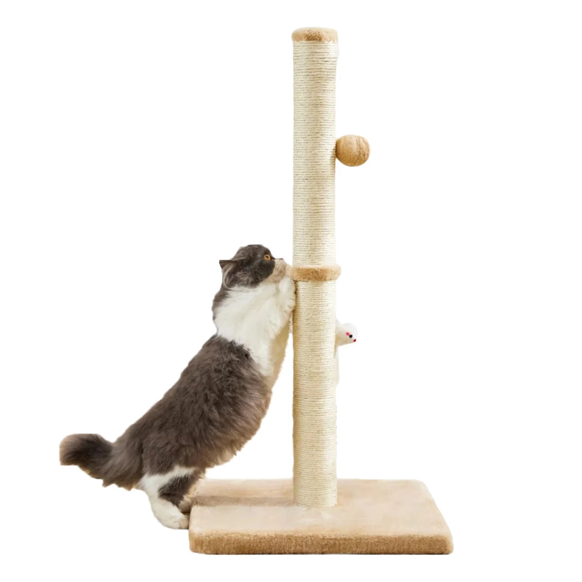 32" Tall Cat Scratching Posts For Indoor Cats Adults With 2 Hanging Ball, Large Cat Scratch Post Cat Scratcher Includes Sisal Ro