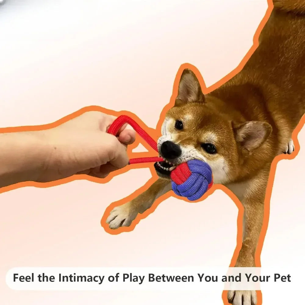 Rope Dog Toys for Small and Medium Dogs Dog Toys for Aggressive Chewers | Dog Tug of War Toy for Interaction and Teeth Cleaning