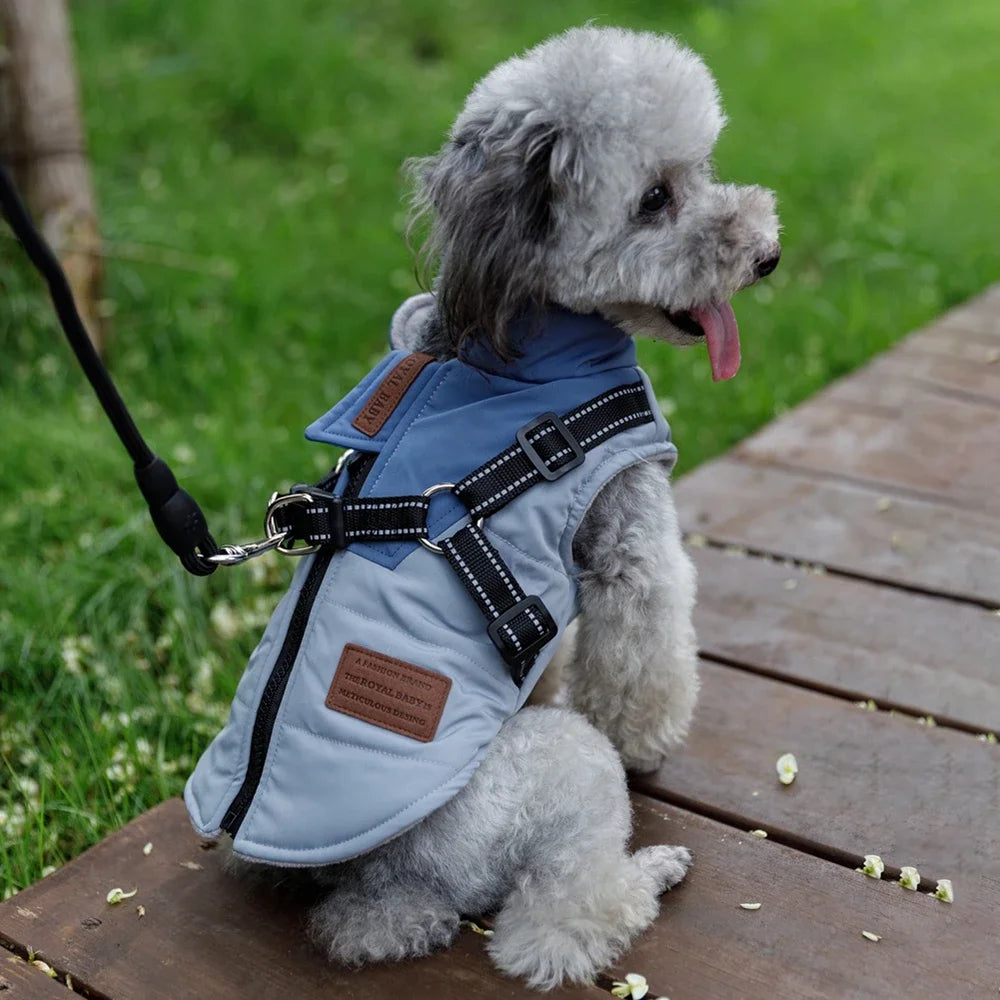 Harness Dog Jacket and Leash Set Winter Warm Puppy Coat Pet Outfit Vest Clothes for Chihuahua Yorkshire Small Medium Dogs