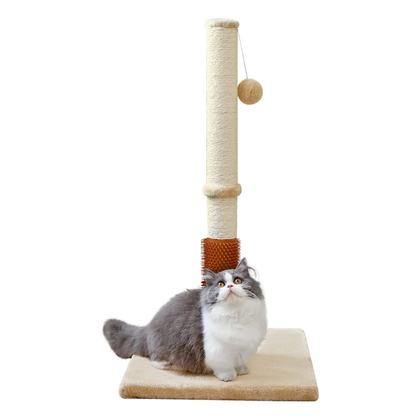 32" Tall Cat Scratching Posts For Indoor Cats Adults With 2 Hanging Ball, Large Cat Scratch Post Cat Scratcher Includes Sisal Ro