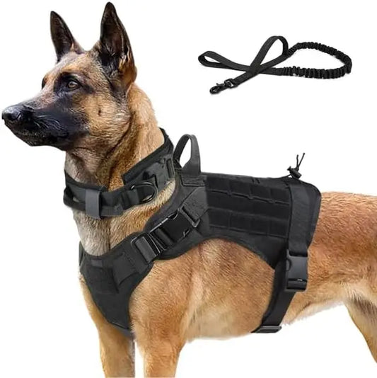 Dog Harness with Handle, Collar, and Leash Set No Pull Dog Harness with Patches- Adjustable Buckles for-Dogs, Escape Proof