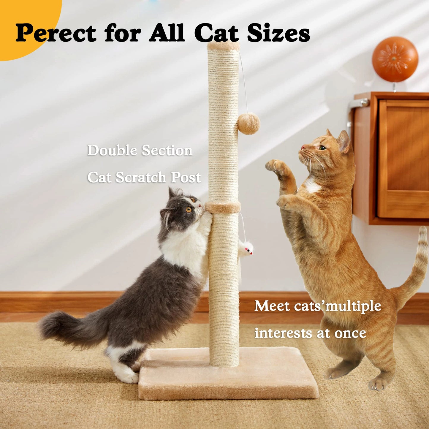 32" Tall Cat Scratching Posts For Indoor Cats Adults With 2 Hanging Ball, Large Cat Scratch Post Cat Scratcher Includes Sisal Ro