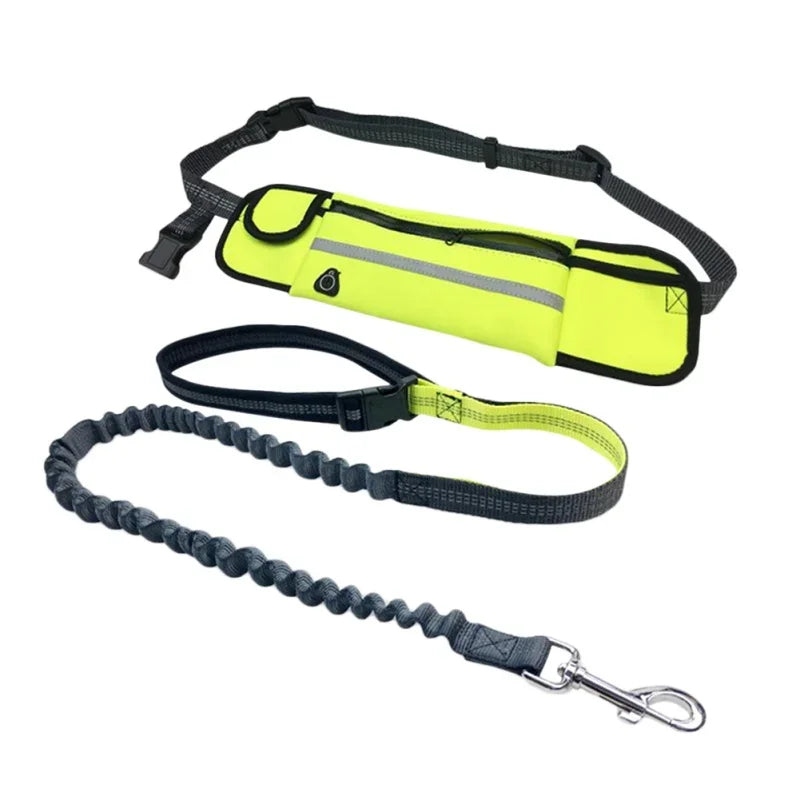 Hands Free Dog Leash with Zipper Pouch Reflective Bungee for Medium to Large Dogs Walking Jogging and Running