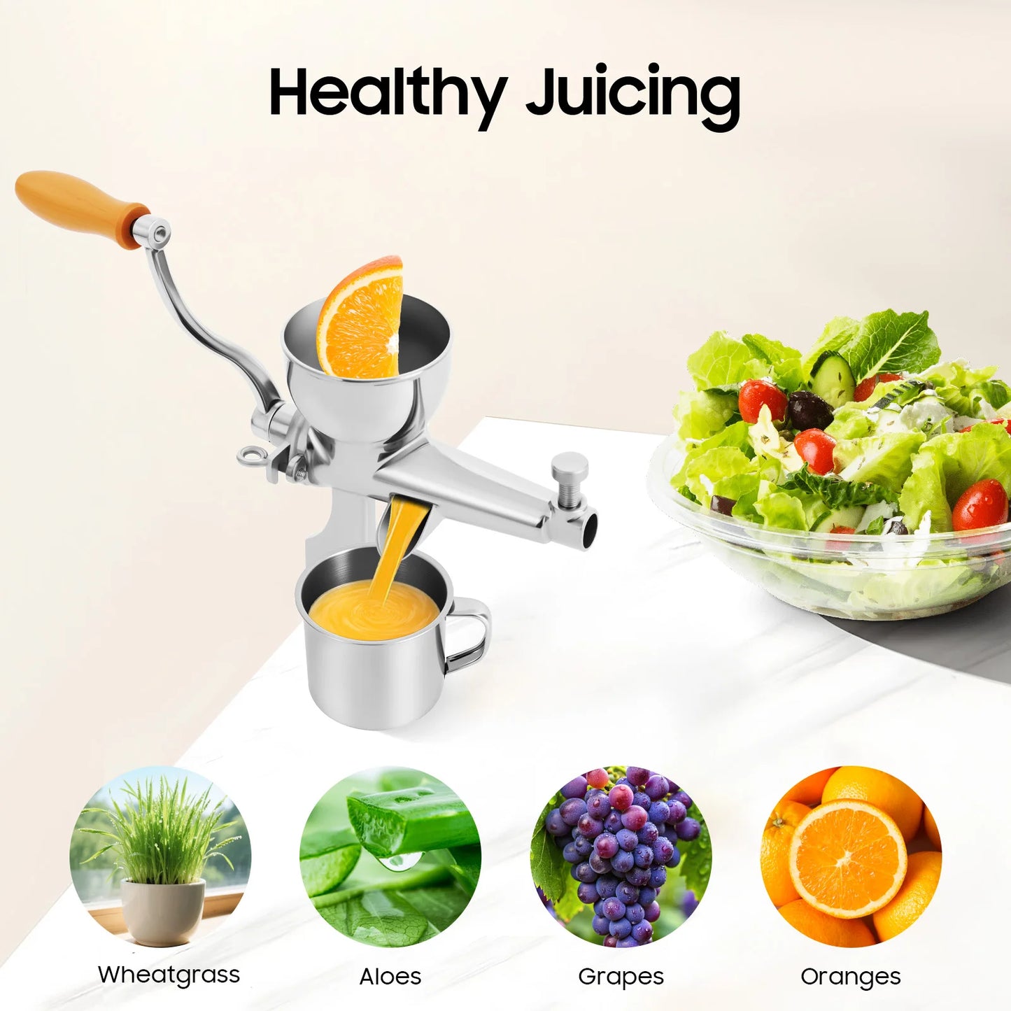 Manual Fruit and Vegetable Squeezer Hand Press for Wheatgrass Juicing