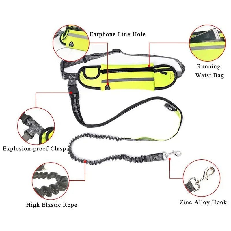 Hands Free Dog Leash with Zipper Pouch Reflective Bungee for Medium to Large Dogs Walking Jogging and Running