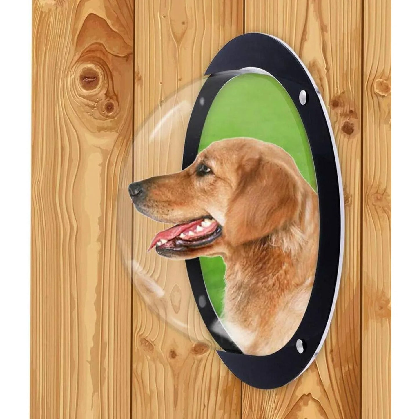 Clear Acrylic Pet Fence Window, 12.4" Round Viewing Portal for Dogs/Cats, Fits Wood/Vinyl Fences (5" Depth, Easy Install)