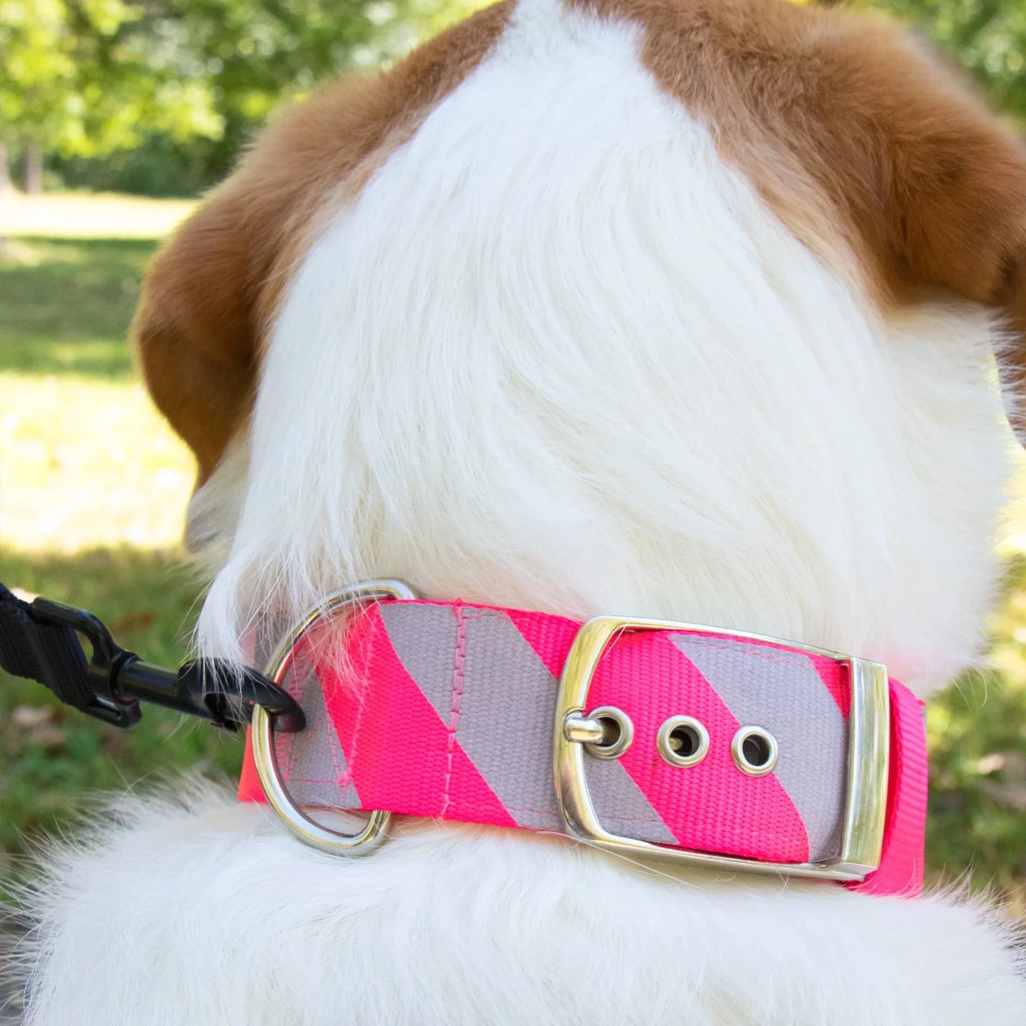 Vibrant Life Diagonal Stripe Extra Wide Adjustable Reflective Collar for Dogs, Pink & Gray, Large