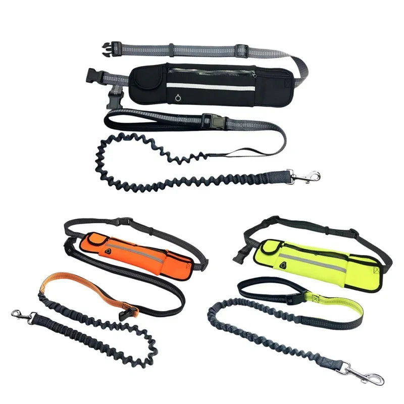 Hands Free Dog Leash with Zipper Pouch Reflective Bungee for Medium to Large Dogs Walking Jogging and Running